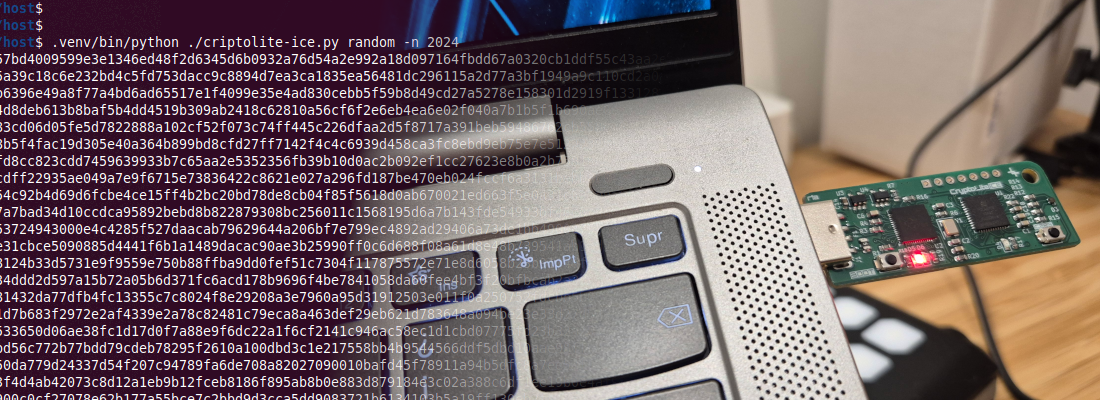 CryptoliteICE: an Open-Source FPGA-Based TRNG